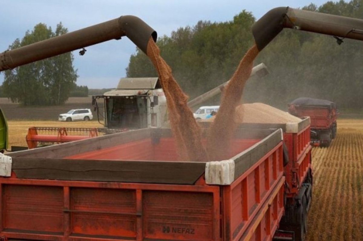Россия в первом квартале поставила в Китай зерно на рекордные $125 млн