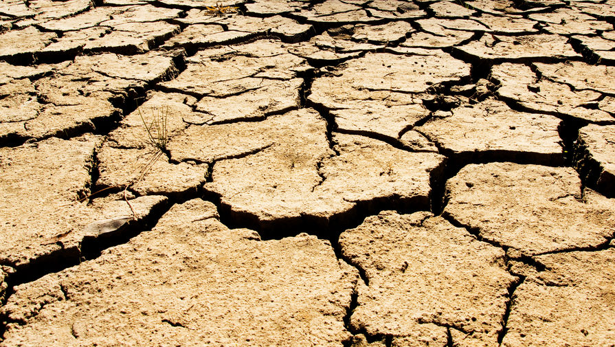 США столкнулись с сильнейшей засухой за последние 1200 лет